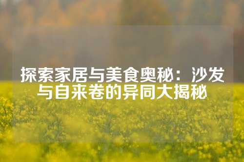 探索家居与美食奥秘：沙发与自来卷的异同大揭秘