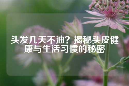 头发几天不油？揭秘头皮健康与生活习惯的秘密