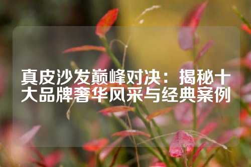 真皮沙发巅峰对决：揭秘十大品牌奢华风采与经典案例