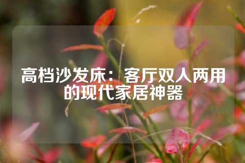 高档沙发床：客厅双人两用的现代家居神器