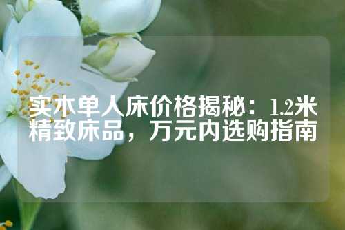 实木单人床价格揭秘：1.2米精致床品，万元内选购指南