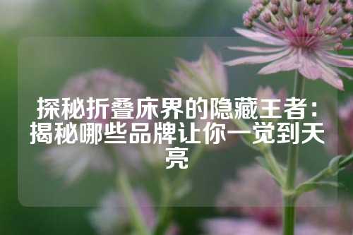 探秘折叠床界的隐藏王者：揭秘哪些品牌让你一觉到天亮