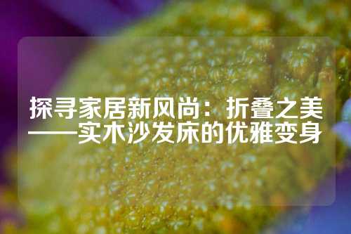 探寻家居新风尚：折叠之美——实木沙发床的优雅变身