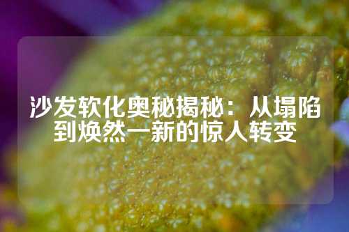 沙发软化奥秘揭秘：从塌陷到焕然一新的惊人转变