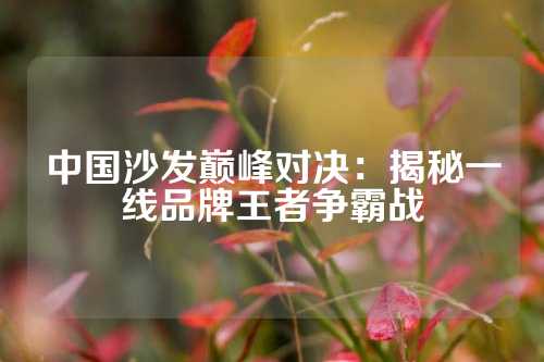 中国沙发巅峰对决：揭秘一线品牌王者争霸战