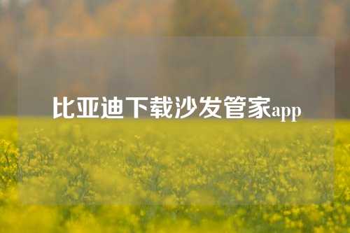 比亚迪下载沙发管家app