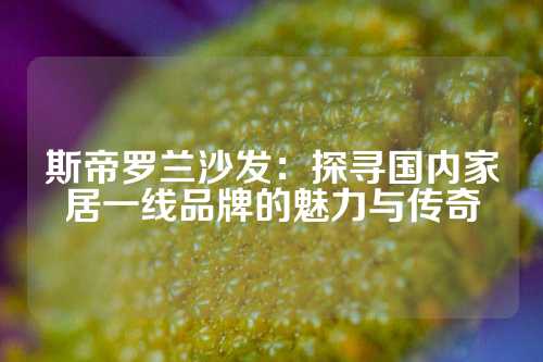 斯帝罗兰沙发：探寻国内家居一线品牌的魅力与传奇