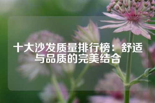 十大沙发质量排行榜：舒适与品质的完美结合
