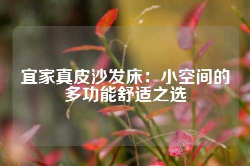 宜家真皮沙发床：小空间的多功能舒适之选