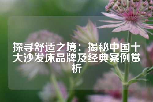 探寻舒适之境：揭秘中国十大沙发床品牌及经典案例赏析