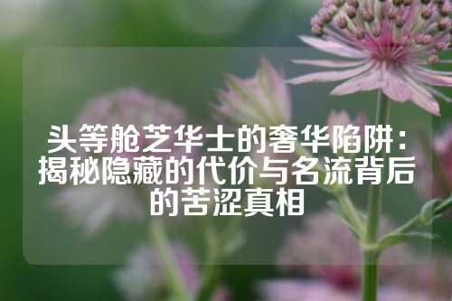 头等舱芝华士的奢华陷阱：揭秘隐藏的代价与名流背后的苦涩真相