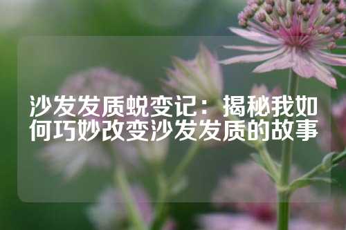 沙发发质蜕变记：揭秘我如何巧妙改变沙发发质的故事