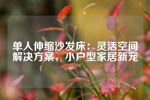 单人伸缩沙发床：灵活空间解决方案，小户型家居新宠
