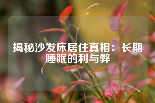 揭秘沙发床居住真相：长期睡眠的利与弊