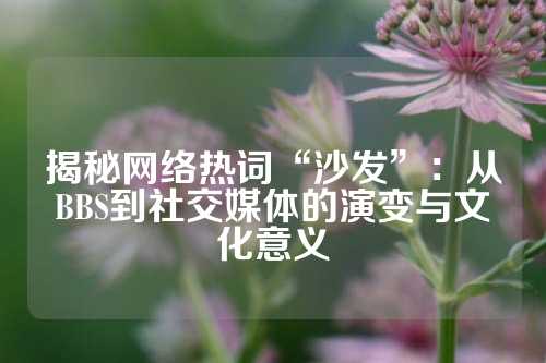 揭秘网络热词“沙发”：从BBS到社交媒体的演变与文化意义