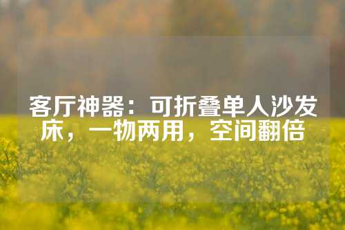 客厅神器：可折叠单人沙发床，一物两用，空间翻倍