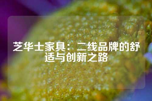 芝华士家具：二线品牌的舒适与创新之路