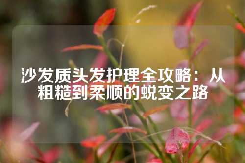 沙发质头发护理全攻略：从粗糙到柔顺的蜕变之路