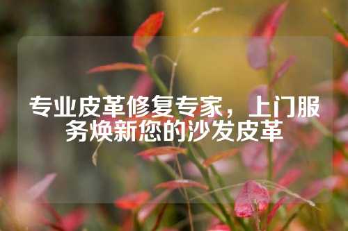 专业皮革修复专家，上门服务焕新您的沙发皮革