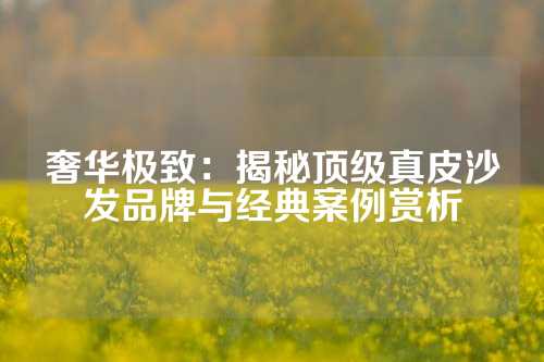 奢华极致：揭秘顶级真皮沙发品牌与经典案例赏析