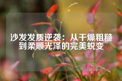沙发发质逆袭：从干燥粗糙到柔顺光泽的完美蜕变