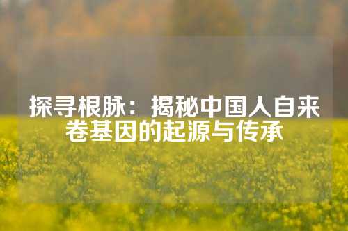 探寻根脉：揭秘中国人自来卷基因的起源与传承