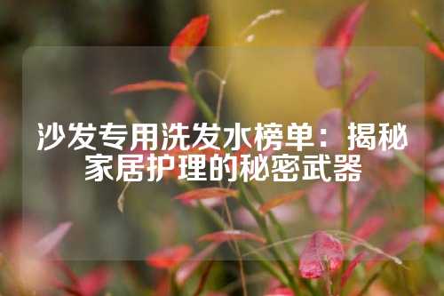 沙发专用洗发水榜单：揭秘家居护理的秘密武器