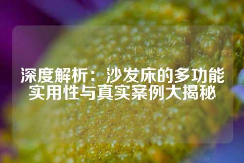 深度解析：沙发床的多功能实用性与真实案例大揭秘