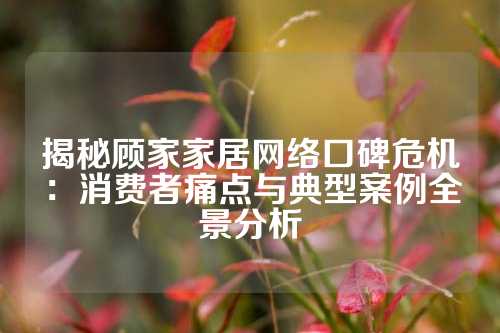 揭秘顾家家居网络口碑危机：消费者痛点与典型案例全景分析