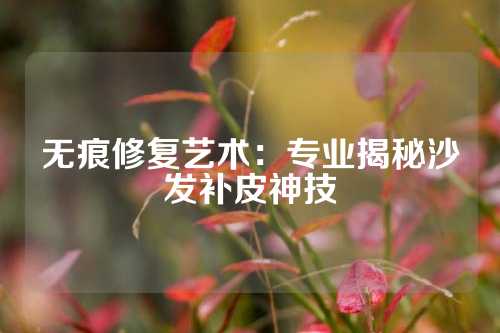 无痕修复艺术：专业揭秘沙发补皮神技