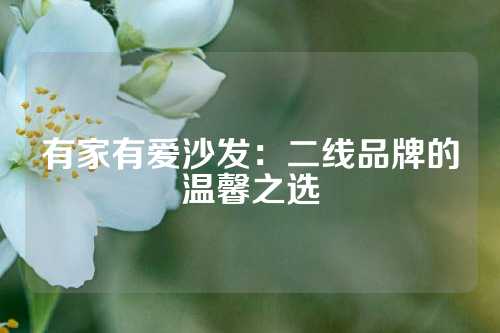 有家有爱沙发：二线品牌的温馨之选