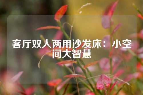 客厅双人两用沙发床：小空间大智慧