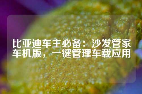 比亚迪车主必备：沙发管家车机版，一键管理车载应用