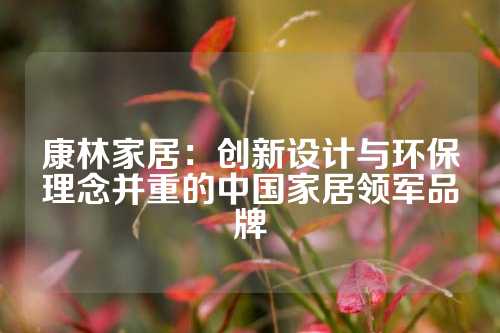 康林家居：创新设计与环保理念并重的中国家居领军品牌