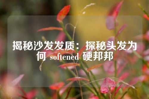 揭秘沙发发质：探秘头发为何 softened 硬邦邦