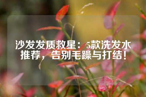 沙发发质救星：5款洗发水推荐，告别毛躁与打结！