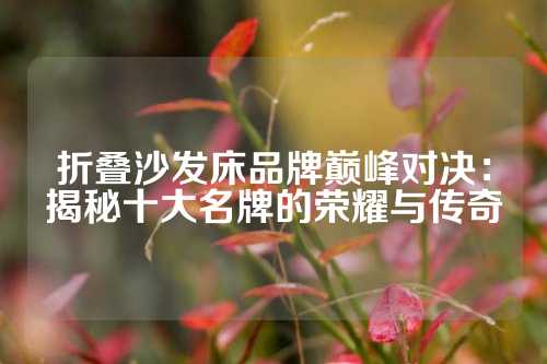 折叠沙发床品牌巅峰对决：揭秘十大名牌的荣耀与传奇