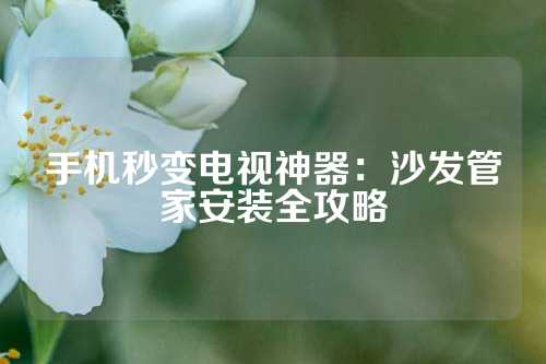 手机秒变电视神器：沙发管家安装全攻略