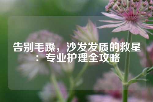 告别毛躁，沙发发质的救星：专业护理全攻略