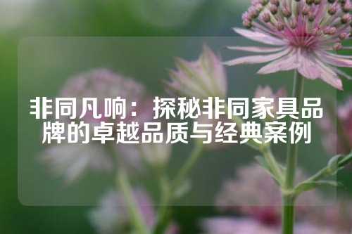 非同凡响：探秘非同家具品牌的卓越品质与经典案例