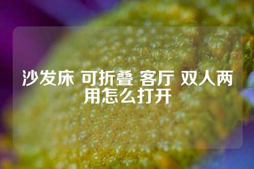 沙发床 可折叠 客厅 双人两用怎么打开
