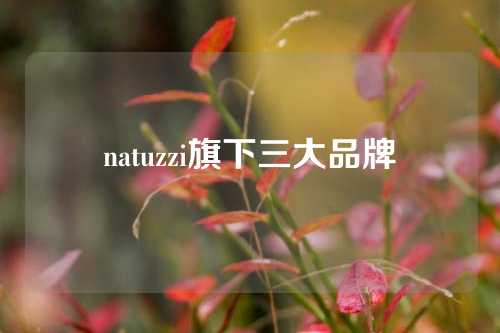natuzzi旗下三大品牌