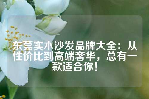 东莞实木沙发品牌大全：从性价比到高端奢华，总有一款适合你！
