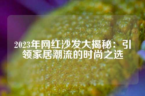 2023年网红沙发大揭秘：引领家居潮流的时尚之选