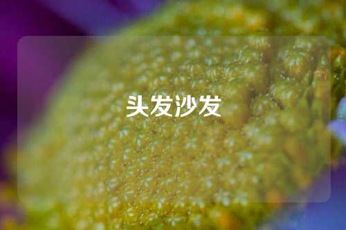 头发沙发