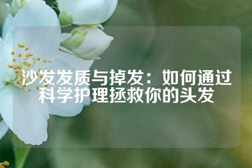 沙发发质与掉发：如何通过科学护理拯救你的头发