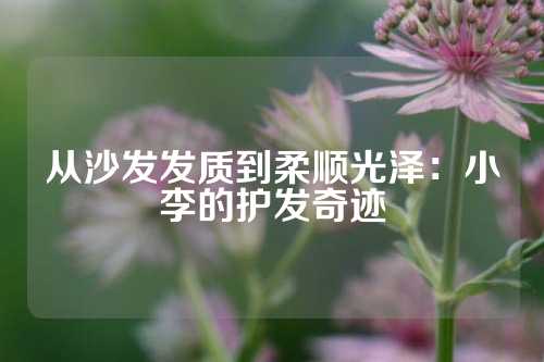 从沙发发质到柔顺光泽：小李的护发奇迹