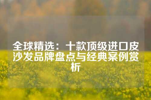 全球精选：十款顶级进口皮沙发品牌盘点与经典案例赏析