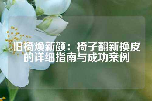 旧椅焕新颜：椅子翻新换皮的详细指南与成功案例