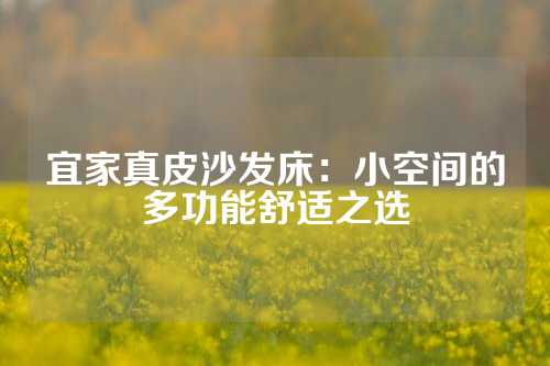 宜家真皮沙发床：小空间的多功能舒适之选